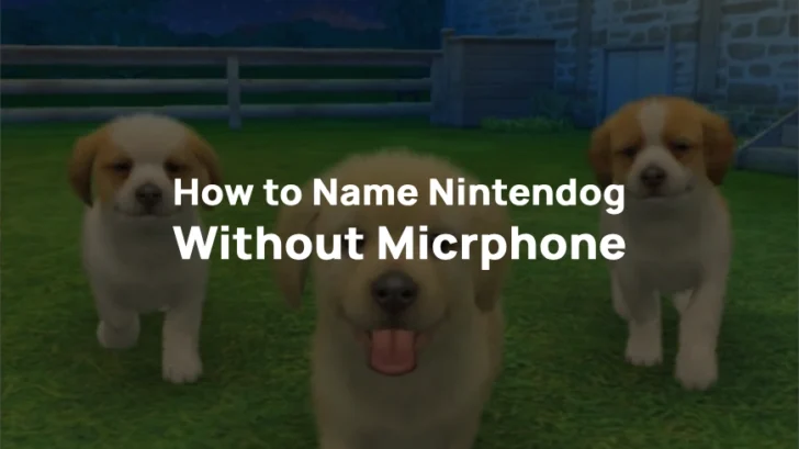 How to Name Your Nintendog Without a Microphone (Drastic DS Developer Guide)